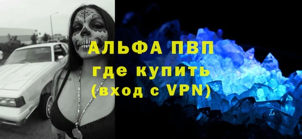 молекула духа Арсеньев
