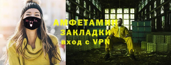 молекула духа Арсеньев