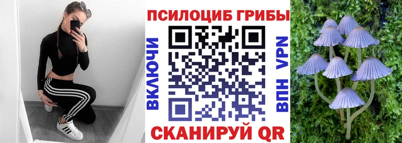 omg ссылки  Баймак  Псилоцибиновые грибы ЛСД  как найти закладки 